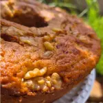 Bolo de Laranja Damasco e Noz s/ açú