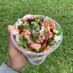 Copo 450g salmão