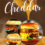 Cheddar - DIPLOMATA
