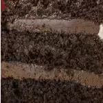 Fatia chocolatuda