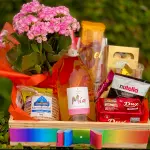 Box Arco iris