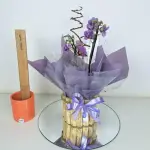 A461 Mini orquídea "Delicadeza"