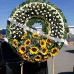 CORONA  006