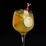 Vodka & Tonic Citrus