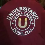 Polo universitario de deportes