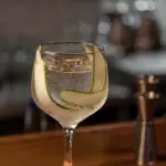 GIN TONIC HENDRICKS