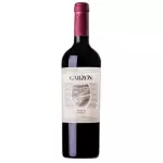 GARZÓN TANNAT 750 ML 🇺🇾