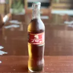 Sidral mundet 355ml