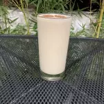 Lion Chocolate Protein
