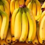 BANANO EXPORTACION  UND