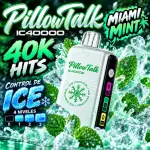 Pillow- Miami  Mint 🧊🧊