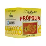 Pasta de Própolis Vita Plankta 50g