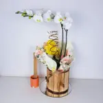 A465 "Orquidea Phaleanopsis Elegante
