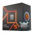 AMD RYZEN 5 8600G