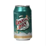 Canada Dry - Ginger Ale
