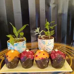 Muffin Vainilla Frutos