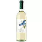 Vinho Pinot Grigio Branco