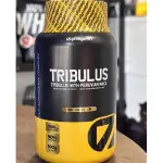 Tribulus com Maca + Tadala
