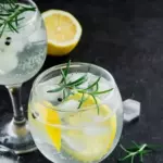 GIN TÔNICA PREMIUM