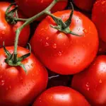 Tomate Larga vida