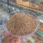 Erva doce