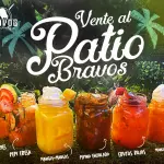 BEBIDAS FRUTALES