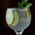 GIN FRESH
