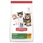 Kitten 1,58 kg