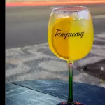 Gin Tônica Sabores