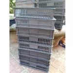 Cajas plásticas organizadoras