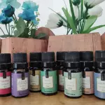 Essencias Via Aroma 10ml Classicas
