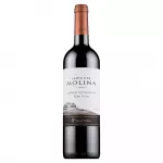 castillo molina