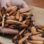 Piñones 250gr