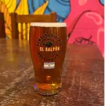 PINTA MINGA IPA Y APA