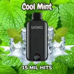 Cool Mint