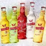 ASKOV ICE SABORES