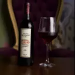 Santiago Queirolo Borgoña