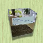 PIMENTA DO REINO (50G)