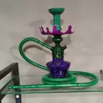 Triton Zip Alteza Verde e Roxo