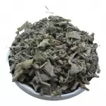 Salvia