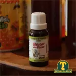 Extrato de Propolis Verde