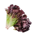 Lechuga Crespa Morada x250gr