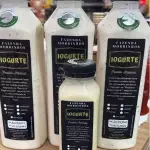 Iogurte Ameixa