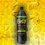 Baly Sem Açucar 2L