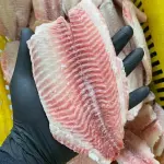 FILÉ DE TILAPIA PREMIUM