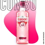 Combo Gin Gordon’s Pink 700ml