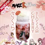 🌸 Cherry Blossom 🌸