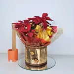 A454 Bico de Papagaio "Delicadeza"
