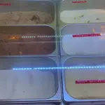 Helados con crema