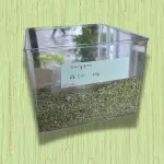ORÉGANO (50G)